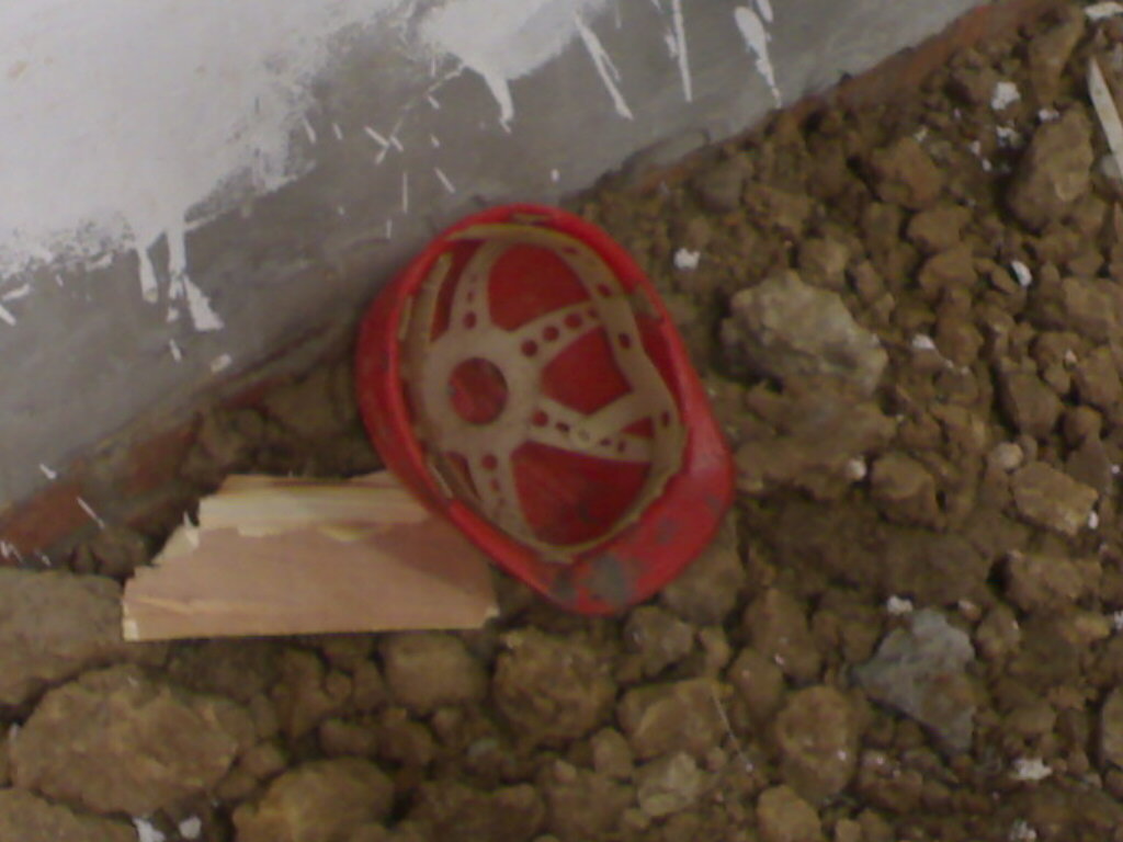20070728208.jpg